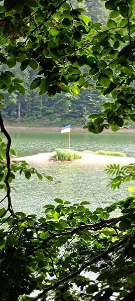 Gölün ortasında yeşil çimen ve Ukrayna bayrağı olan bir ada resmi