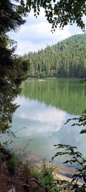 Karpatlar 'ın yeşil dağlarının arasında.