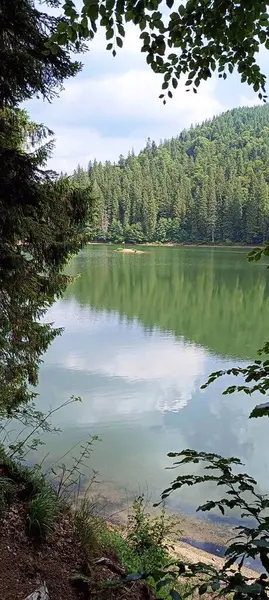 Karpatlar 'ın yeşil dağlarının arasında.