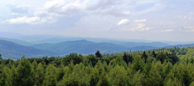 Yazın Karpat Dağları 'nın yeşil tepelerinin manzarası