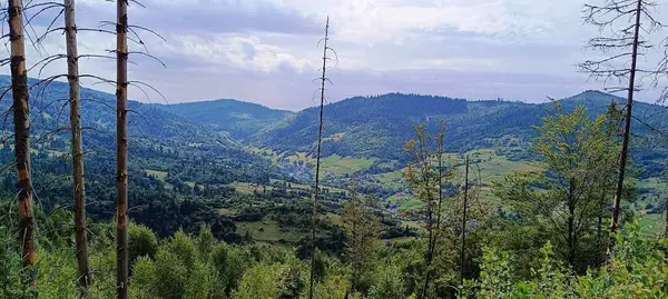 Yazın Karpatlar 'ın yeşil tepelerinin manzarası görülebilir.