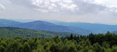 Karpat dağlarının tepeleri yeşildir.