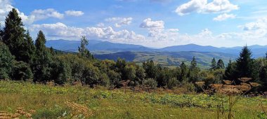 Yazın Karpatlar 'ın yeşil dağ manzarası