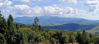 Yazın Karpat Dağları 'nın yeşil tepe manzarası