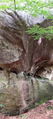 Dovbush 'un kayaları Karpatlar' ın Bubnyshche köyünde görülebiliyor.