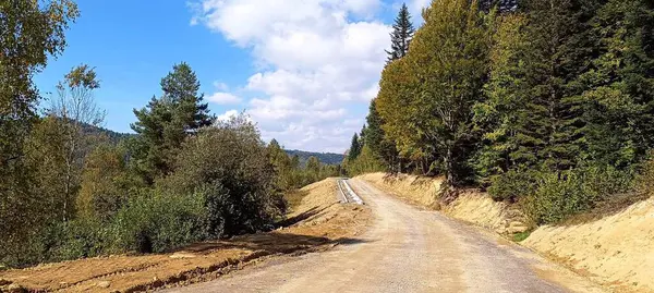 Fotoğraflı yol yeşil ormanın arasında uzanıyor.