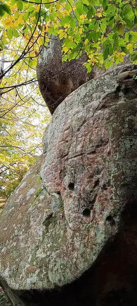Bubnyshche köyündeki Dovbush kayalarının manzarası