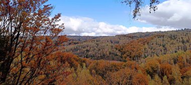 Yazın Karpat dağlarında kayalar görülebilir.