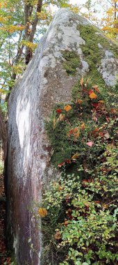 Yazın dağlarda bir kaya parçası görülür.