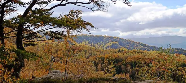Sonbaharda Karpat dağlarının tepeleri bulutların altında görünür.