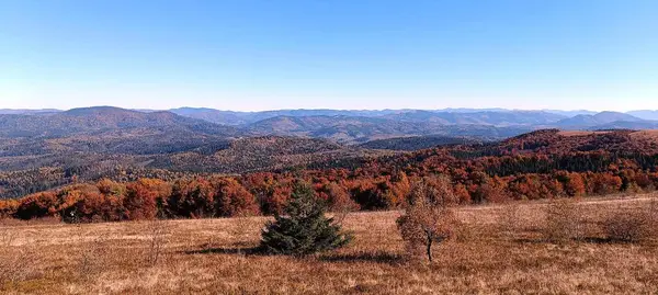 Karpat Dağları 'nın zirvelerinin sonbahar manzarası