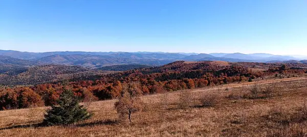 Sonbaharda Karpatlar 'ın zirvelerinin manzarası