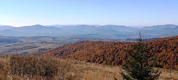 Dağların tepesinde yetişen sonbahar ormanının manzarası.