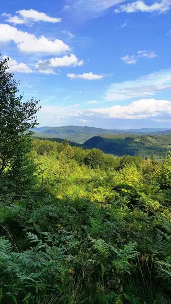 Yazın Karpatlar 'ın yeşil dağlarının zirvelerine bakın.