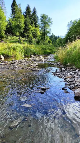 Nehir baharda taşların üzerinden akar.