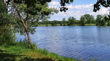 Yeşil bir ormanın yakınındaki bir gölün manzarası gösteriliyor
