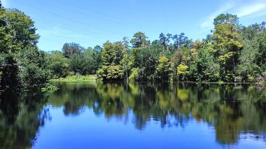 Yeşil ağaçların arka planında göl