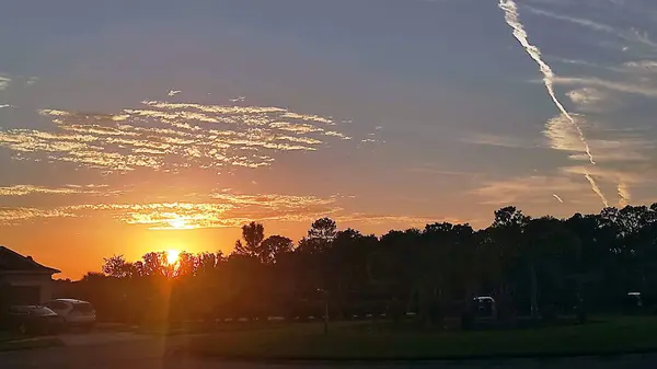 Güneş, ufukta ağaçların ardında batarken görülüyor.