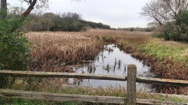 Küçük bir derenin üzerinde tahta bir köprü resmi.