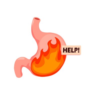 Mide ekşimesi. Midesinin enine kesitinde alevler var. Piroz, kardiyoloji veya asit hazımsızlığı. Midede yanma hissi var. Vektör illüstrasyonu