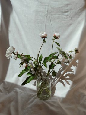 Cam kavanozda beyaz kasımpatı. Buket. Marka ve reklamınız için estetik fotoğraflar..