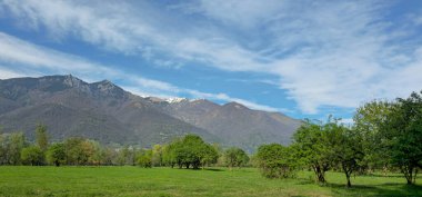 Yeşil çayır, ağaçlar ve mavi gökyüzü olan kırsal alan