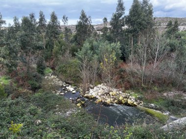 Gündüz vakti yeşil ağaçlar ve yeşilliklerle çevrili bir nehrin dikey görüntüsü