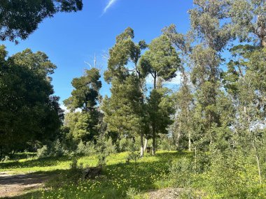 Parkın güzel manzarası