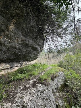 Doğanın güzel manzarası
