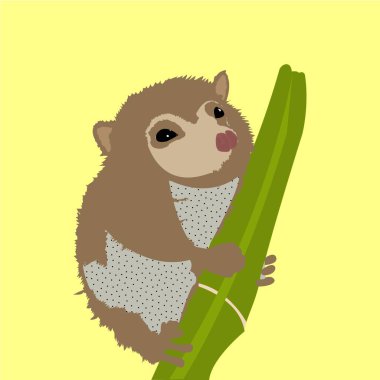 Görüntü bir dağ maymunundan (Dromiciops gliroides) oluşur. O bir maymun değil, o bir keseli, ama bölgede 