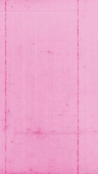 Κάθετο Βίντεο Απαλό Ροζ Χρώμα Και Κάθετες Γραμμές Καυτό Ροζ — Αρχείο Βίντεο