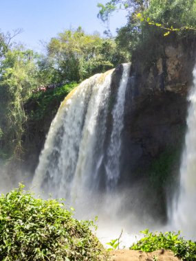 BÜYÜK BİR SU ŞEHİRMESİNİN GÖREVLERİNDE, BİR MÜZİK SÜRÜNDE