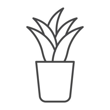 Aloe vera simgesi Siyah çizgi sanat vektörü siyah ve beyaz ana hat koleksiyon işareti