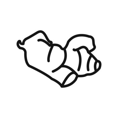 Zencefil simgesi Siyah çizgi sanat vektörü siyah beyaz ana hat koleksiyon işareti