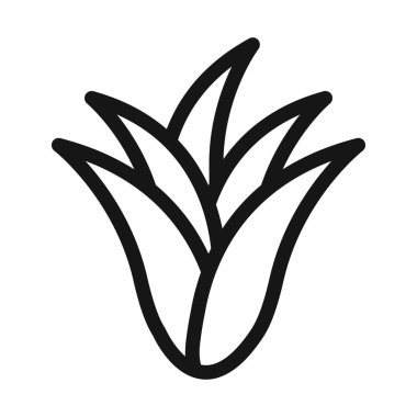 Aloe vera simgesi Siyah çizgi sanat vektörü siyah ve beyaz ana hat koleksiyon işareti