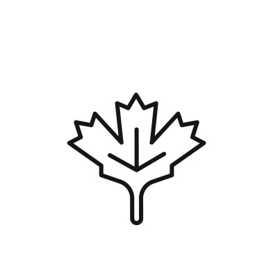 Akçaağaç yaprağı simgesi ana hatları koleksiyonu ya da siyah beyaz olarak ayarlanır