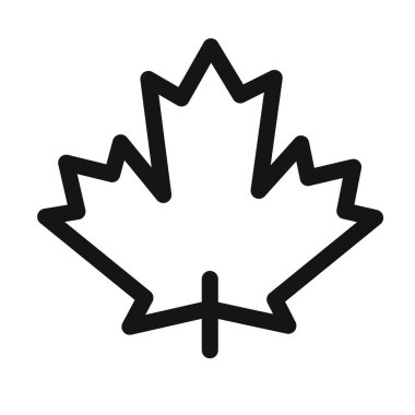 Akçaağaç yaprağı ikon vektör çizgisi logosu veya sembol koleksiyon özet biçimi