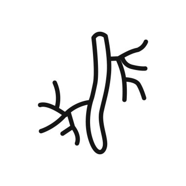 Web uygulaması için insan arteri ikonu doğrusal vektör grafik işareti veya sembol seti