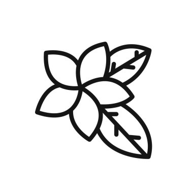 plumeria simgesi doğrusal vektör grafik işareti veya web uygulaması için sembol
