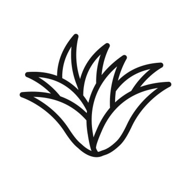 Aloe vera simgesi Siyah çizgi sanat vektörü siyah ve beyaz ana hat koleksiyon işareti