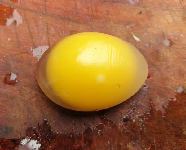 Sarı ve beyaz bir yumurtaya yaklaş.
