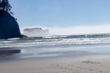 güzel bir plaj Yeni Zelanda