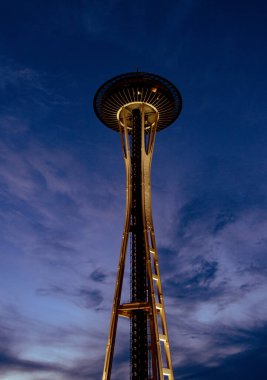 Seattle, Washington eyaletinin iğnesinin gece görüşü..