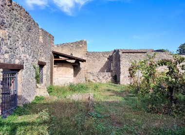 Pompeii, Campania, İtalya - 14 Ekim 2021: Antik Pompei şehrinin Via di Castricio 'sunda yılanlı Fresco