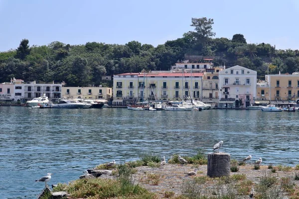 Ischia Kampánie Itálie Května 2022 Přístav Marina Portosalvo — Stock fotografie
