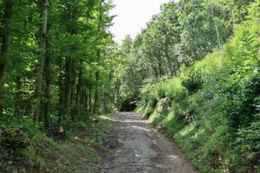 Mercato San Severino, Campania, İtalya - 22 Haziran 2021: İtalya 'nın en büyük ortaçağ kalelerinden biri olan Sanseverino Kalesi' nin kalıntıları, 11. yüzyıldan itibaren art arda inşa edilen üç kaleden oluşmaktadır.