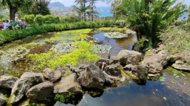 Forio, Campania, Italy  May 14, 2022: Overview of the Crocodile Waterfall at La Mortella Gardens