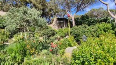 Forio, Campania, Italy  May 14, 2022: Panorama of the bay of Forio from the Giardini La Mortella, the botanical garden created starting in 1956 by Susana Walton