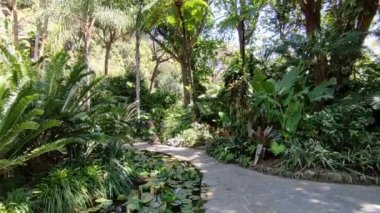 Forio, Campania, Italy  May 14, 2022: Overview of the tall fountain at the La Mortella Gardens