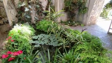 Forio, Campania, Italy  May 14, 2022: Interior overview of the tropical greenhouse Tempio del Sole in the La Mortella Gardens